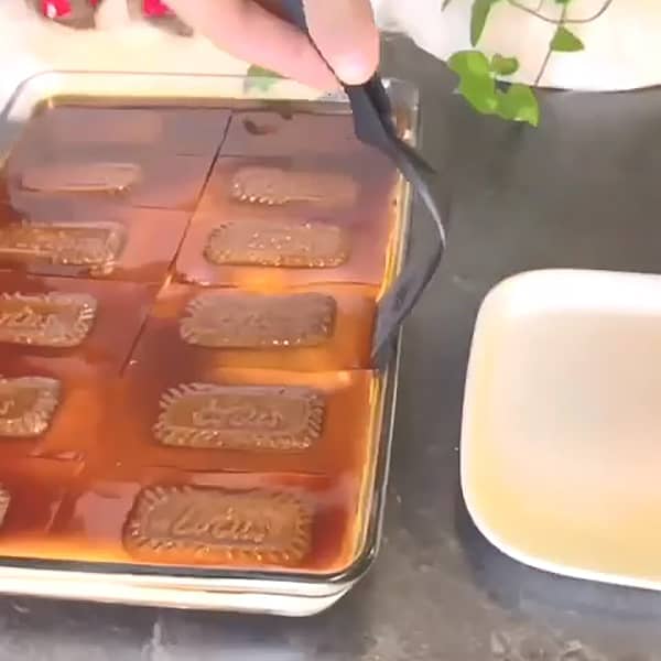 طرز تهیه دسر کاستارد خوشمزه و مجلسی با نکات کامل