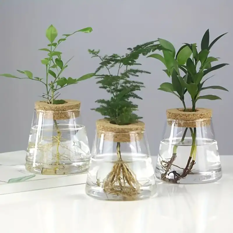 گلدان شیشه ای شیک کوچک