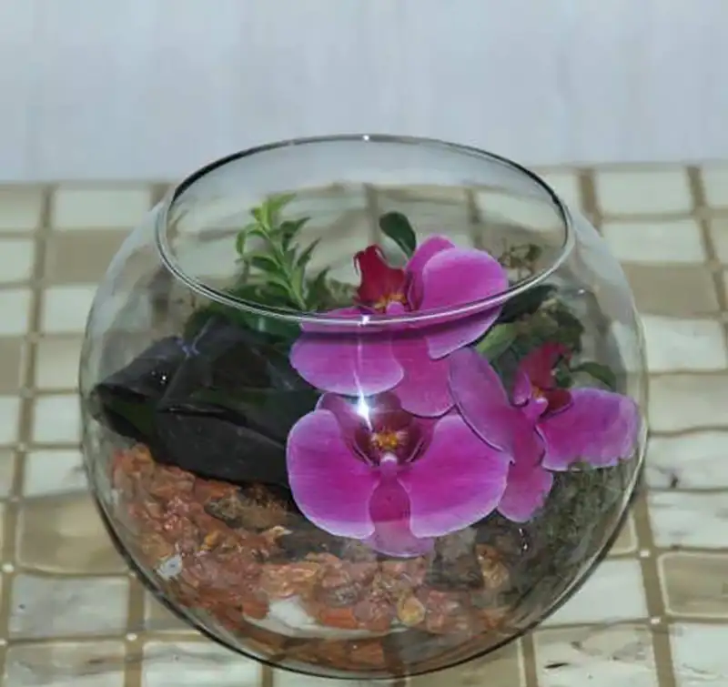 گلدان شیشه ای شیک کوچک